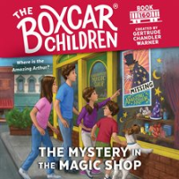 Mystery_in_the_Magic_Shop__The